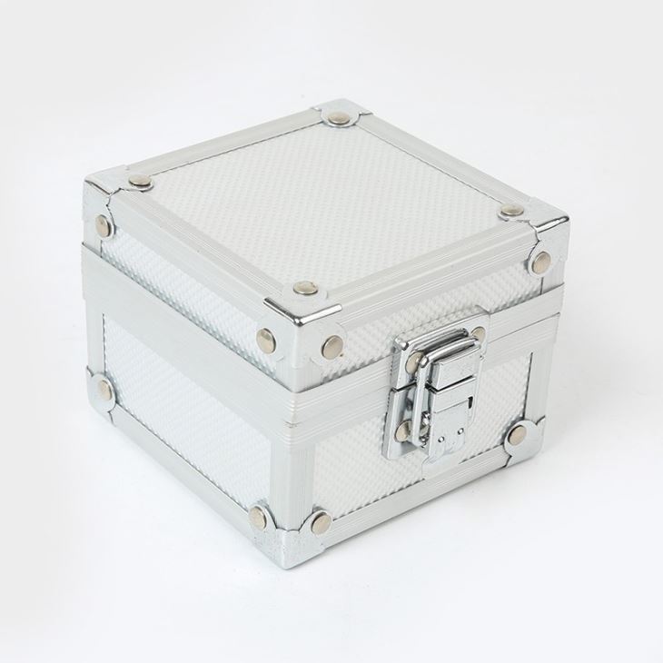 Parvus Silver Aluminium vigilate Box